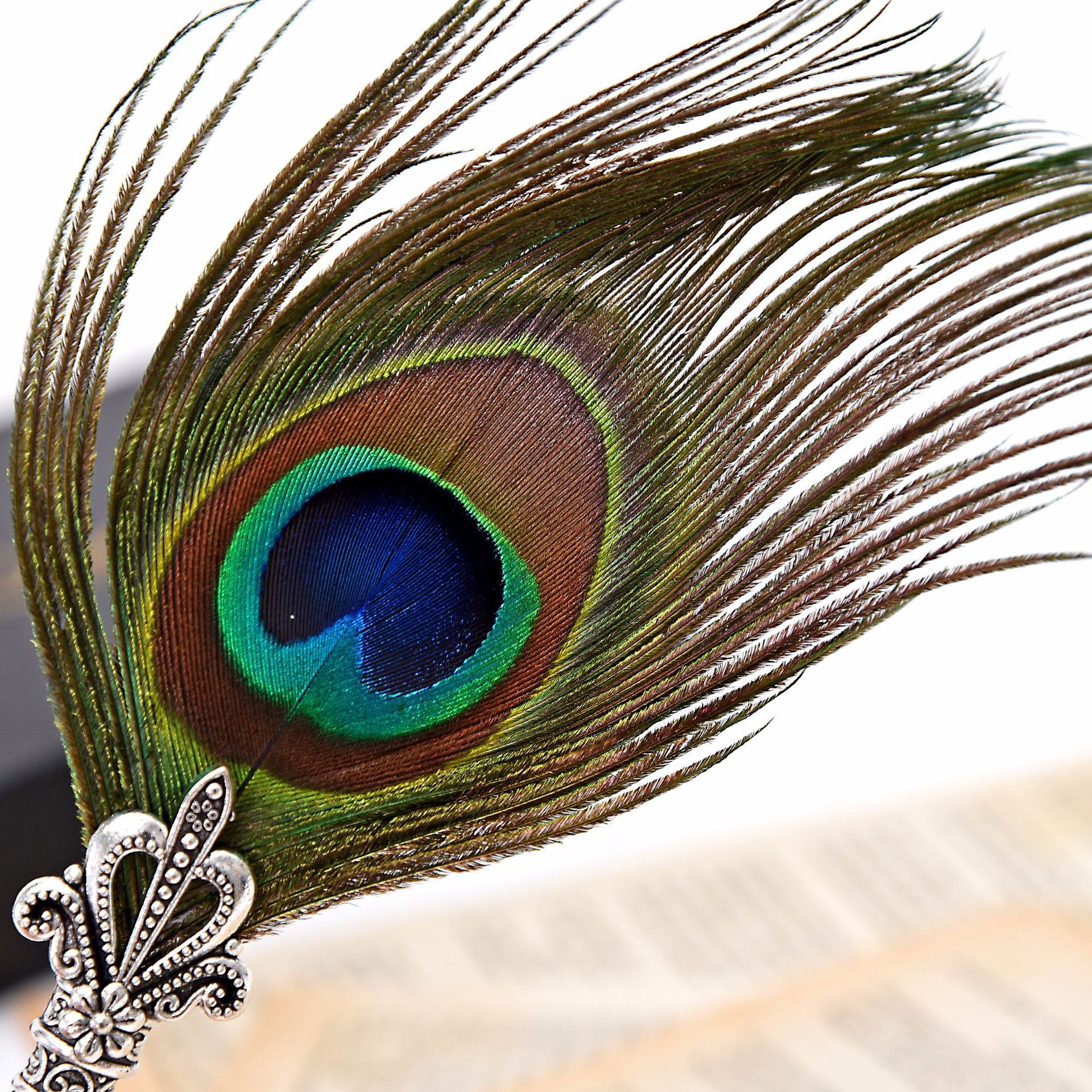 Vintage Feather Pen